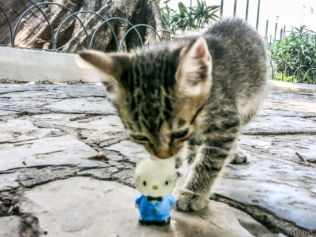 Kitty and Hello Kitty in Simon Bolivar Park