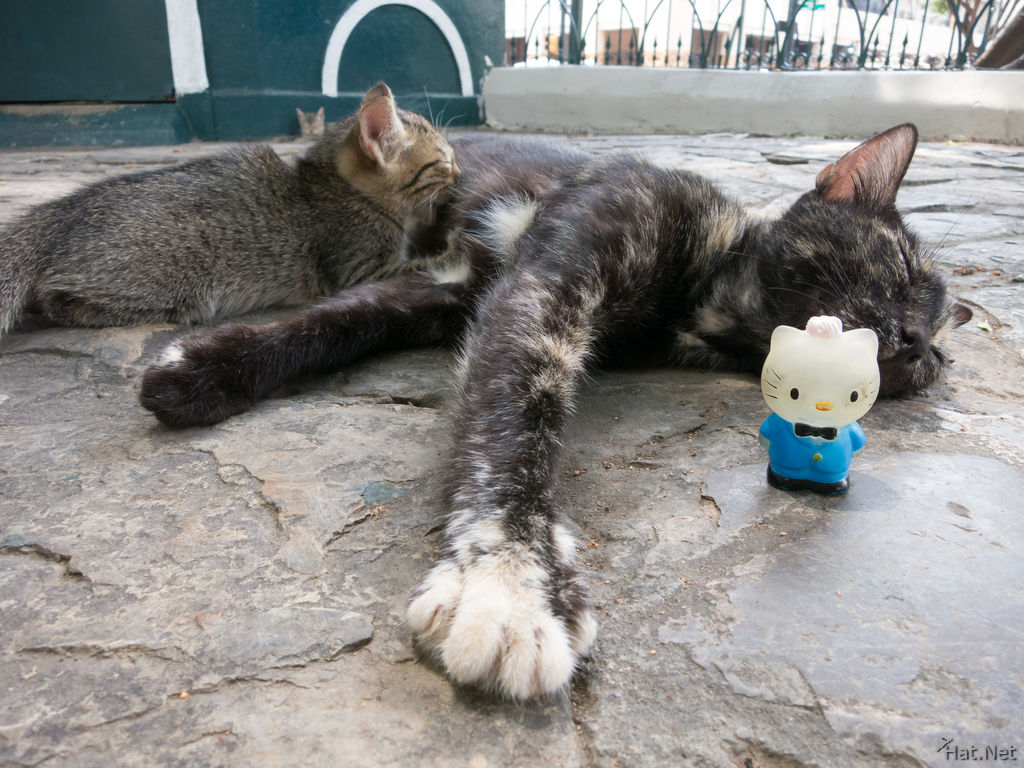Kitty and Hello Kitty in Simon Bolivar Park