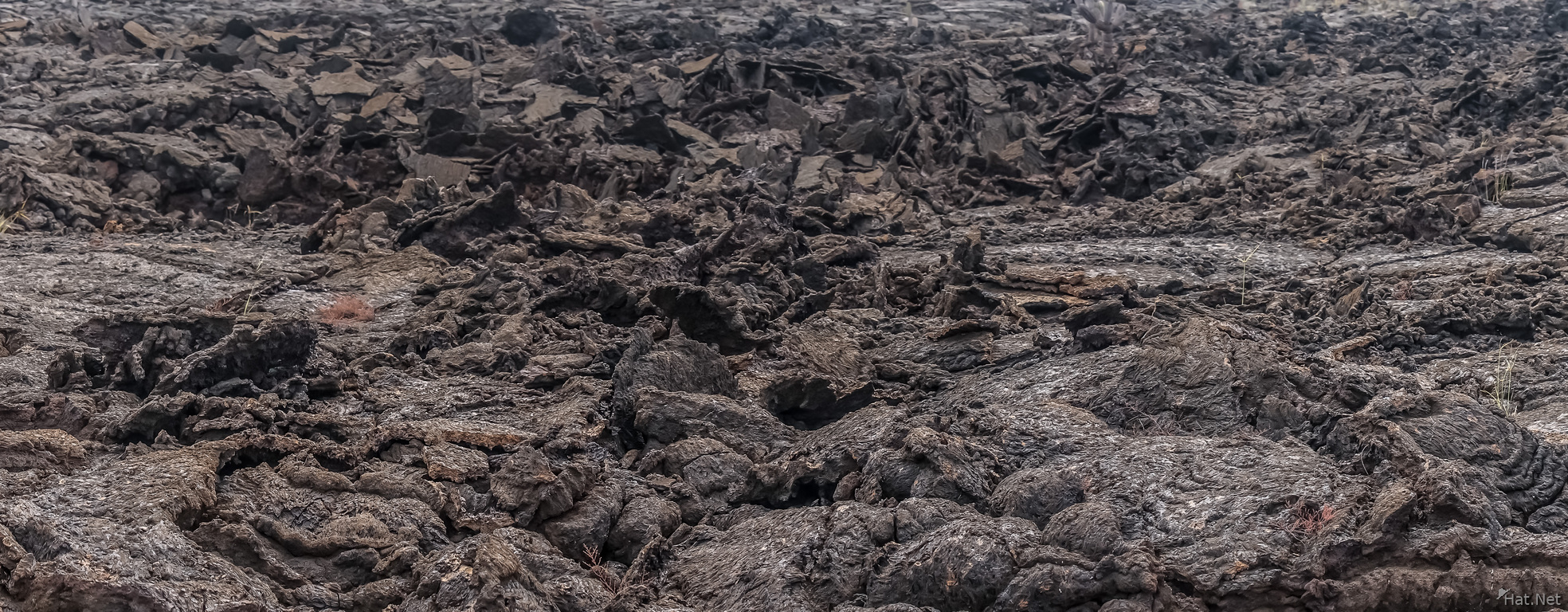 Lava field of Punta Moreno