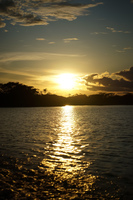 Amazon Sunset Amazon,  Cuyabeno Reserve,  Sucumbios,  Ecuador, South America