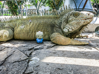 20140507112905-Iguana_In_Guayaquil_attack_Hello_Kitty