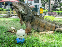 20140507113502-Iguana_In_Guayaquil_attack_Hello_Kitty