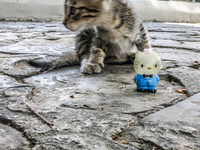 20140507115115-Kitty_and_Hello_Kitty_in_Simon_Bolivar_Park