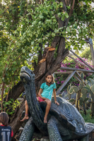 Girl riding giant turtle Puerto Velasco Ibarra, Galapagos, Ecuador, South America