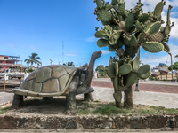 Turtle statue in Puerto Baquerizo Moreno Baquerizo Moreno, Galapagos, Ecuador, South America