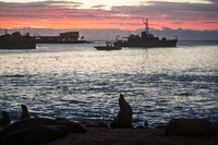 20140520181444-Sea_lion_colony_in_Puerto_Baquerizo_Moreno_when_sunset