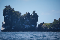 Bucanero Bay Sombrero Chino, Rabida, Galapagos, Ecuador, South America