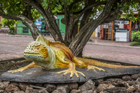 Iguana Statue of Puerto Ayora Puerto Ayora, Galapagos, Ecuador, South America