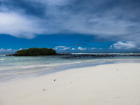 Tortuga Bay in Puerto Ayora Puerto Ayora, Galapagos, Ecuador, South America
