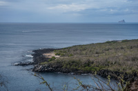 Punta Carola Baquerizo Moreno, Galapagos, Ecuador, South America