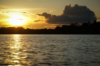 Amazon Sunset Lago Agrio, Nueva Loja Cuyabeno Reserve, Ecuador, South America