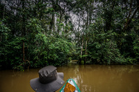 Amazon River Paddling Lago Agrio, Nueva Loja Cuyabeno Reserve, Ecuador, South America