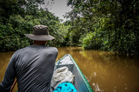 Amazon River Paddling Lago Agrio, Nueva Loja Cuyabeno Reserve, Ecuador, South America