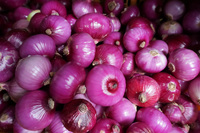 Purple onions Canar Market Cuenca, Ecuador, South America