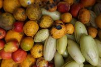 Fruits of Canar Market Cuenca, Ecuador, South America