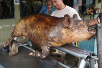 Piggy street food on way to Ingaprica Cuenca, Ecuador, South America