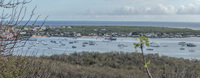 Punta Carola Puerto Baquerizo Moreno,  San Cristobal,  Galapagos,  Ecuador, South America
